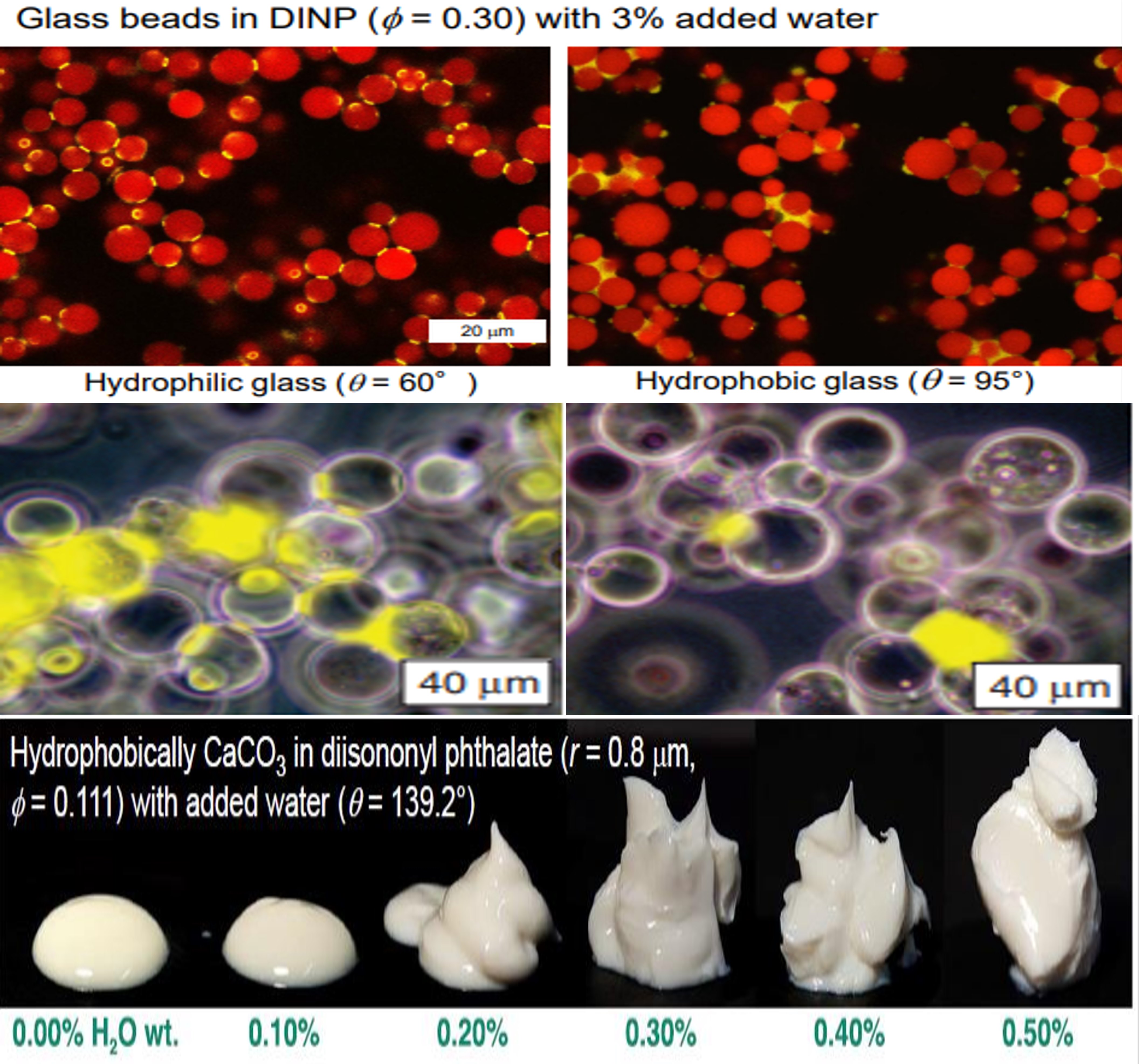 ��ҳ| ���������й��ٷ���վ